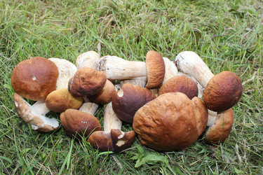 Similar image 1452770