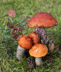 Similar image 1452773