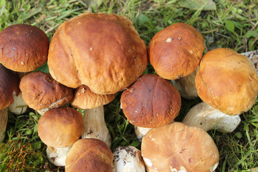 Similar image 1452774