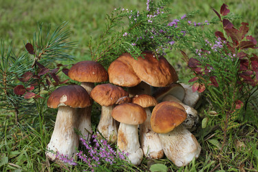 Similar image 1452776