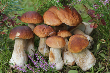 Similar image 1452777