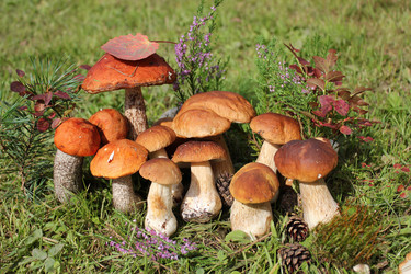 Similar image 1452778