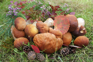 Similar image 1452782