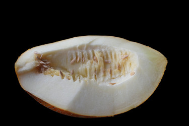 Similar image 1452802