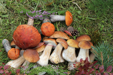 Similar image 1452807