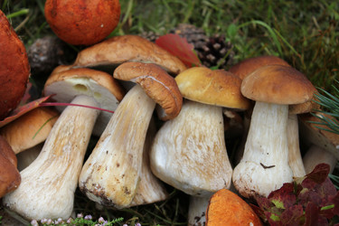 Similar image 1452808