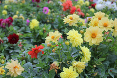 Similar image 1452813