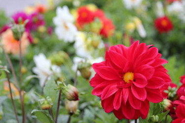 Similar image 1452815