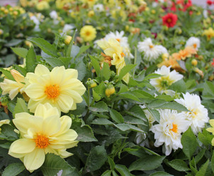 Similar image 1452818