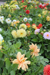 Similar image 1452819