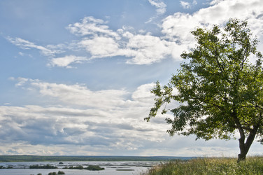 Similar image 1452835