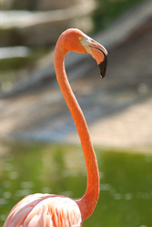 Similar image 1452873