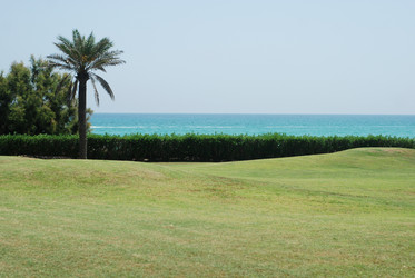 Similar image 1452883