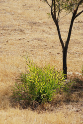 Similar image 1452884