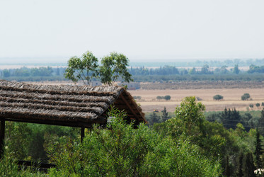 Similar image 1452885