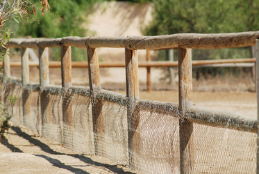 Similar image 1452887