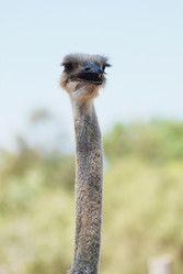 Similar image 1452889