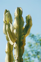 Similar image 1452890