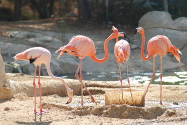 Similar image 1452891