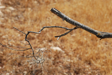 Similar image 1452892