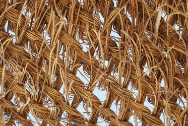 Similar image 1452895