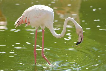 Similar image 1452908