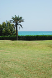 Similar image 1452911