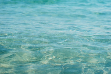 Similar image 1452916