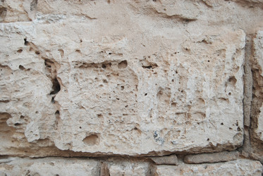 Similar image 1452918