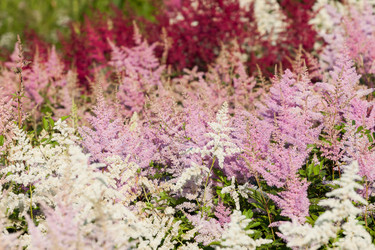 Similar image 1453027