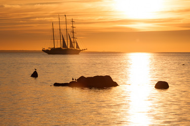 Similar image 1453039