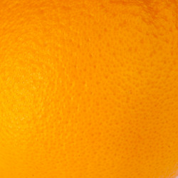 Similar image 1453050