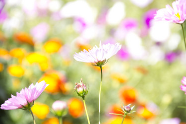 Similar image 1453055