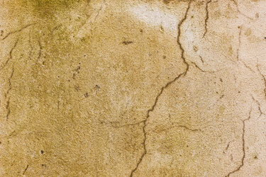 Similar image 1453097