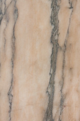 Similar image 1453113