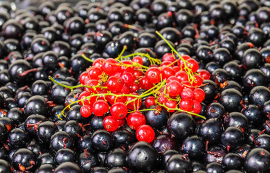 Similar image 1453144