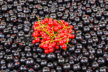 Similar image 1453146