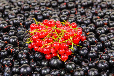 Similar image 1453148