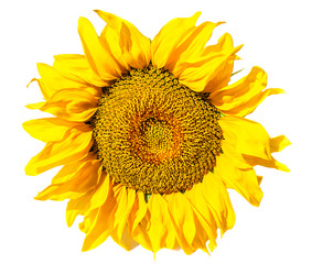 Similar image 1453156