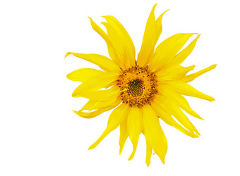 Similar image 1453157