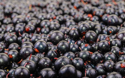 Similar image 1453161