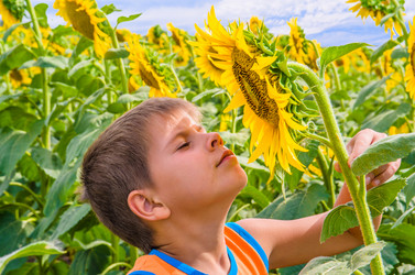 Similar image 1453188