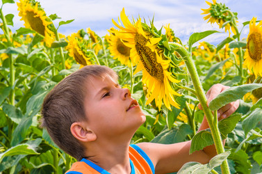 Similar image 1453189