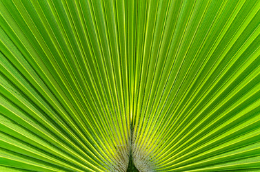 Similar image 1453202