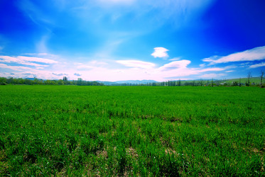 Similar image 1453204