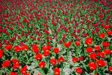 Similar image 1453207