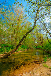 Similar image 1453220