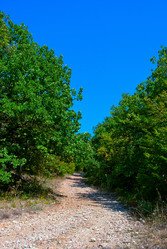 Similar image 1453227