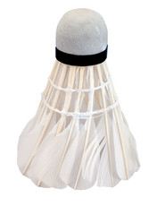 Similar image 1453233