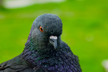 Similar image 1453239